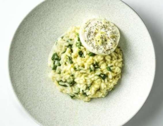 Lemon and wild garlic risotto with burrata