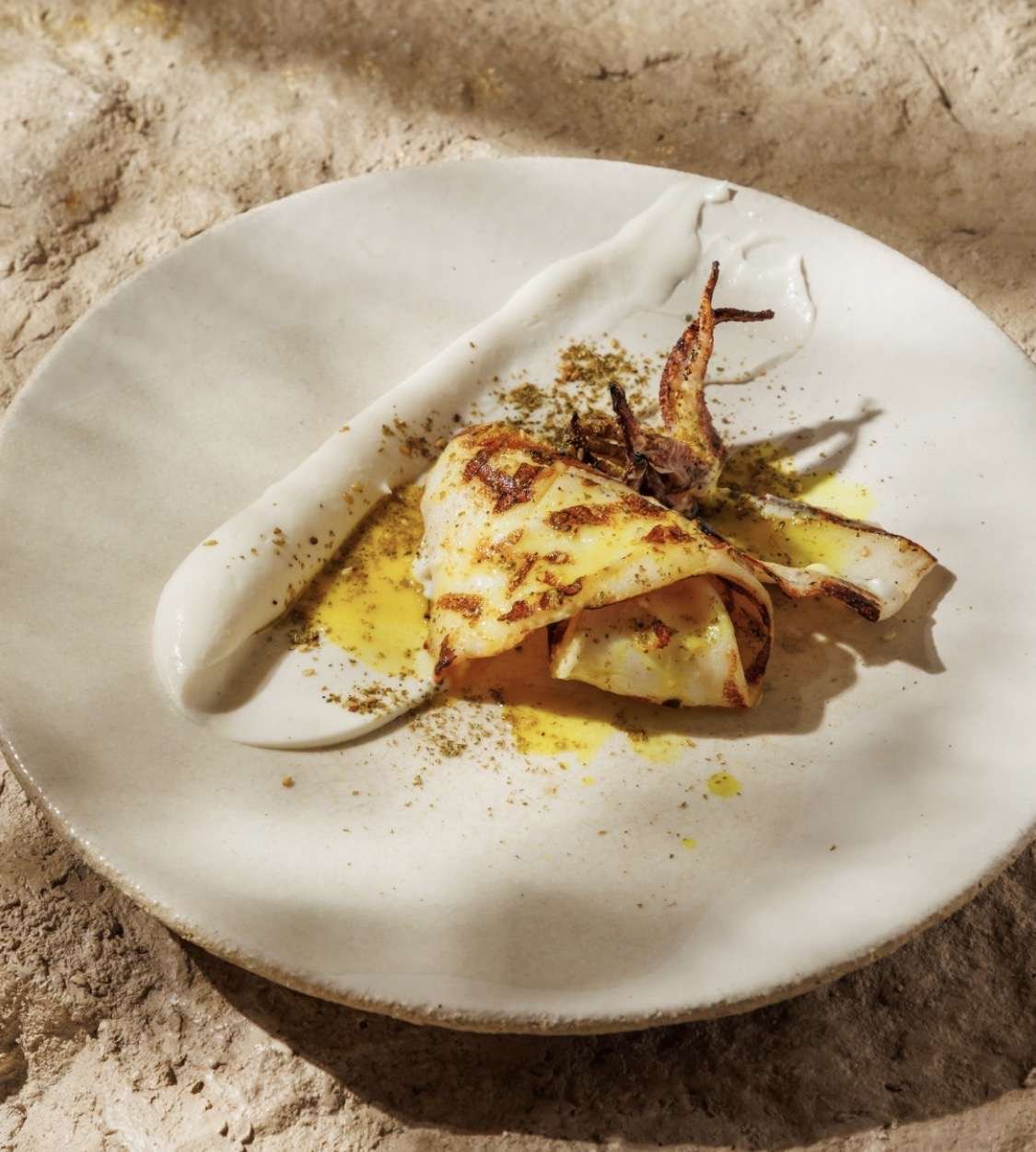 Grilled squid with a white puree and olive oil